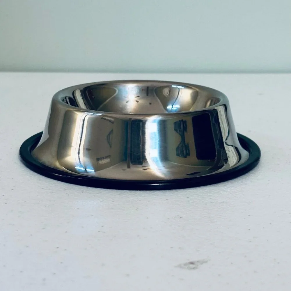 Small Pet Bowl Stainless Steel Cat Food Bowl Water Bowl with Non-Slip Base